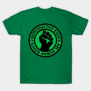 Reproductive Rights are Human Rights (green) T-Shirt